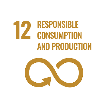 SDG 12