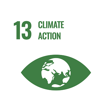 SDG 13